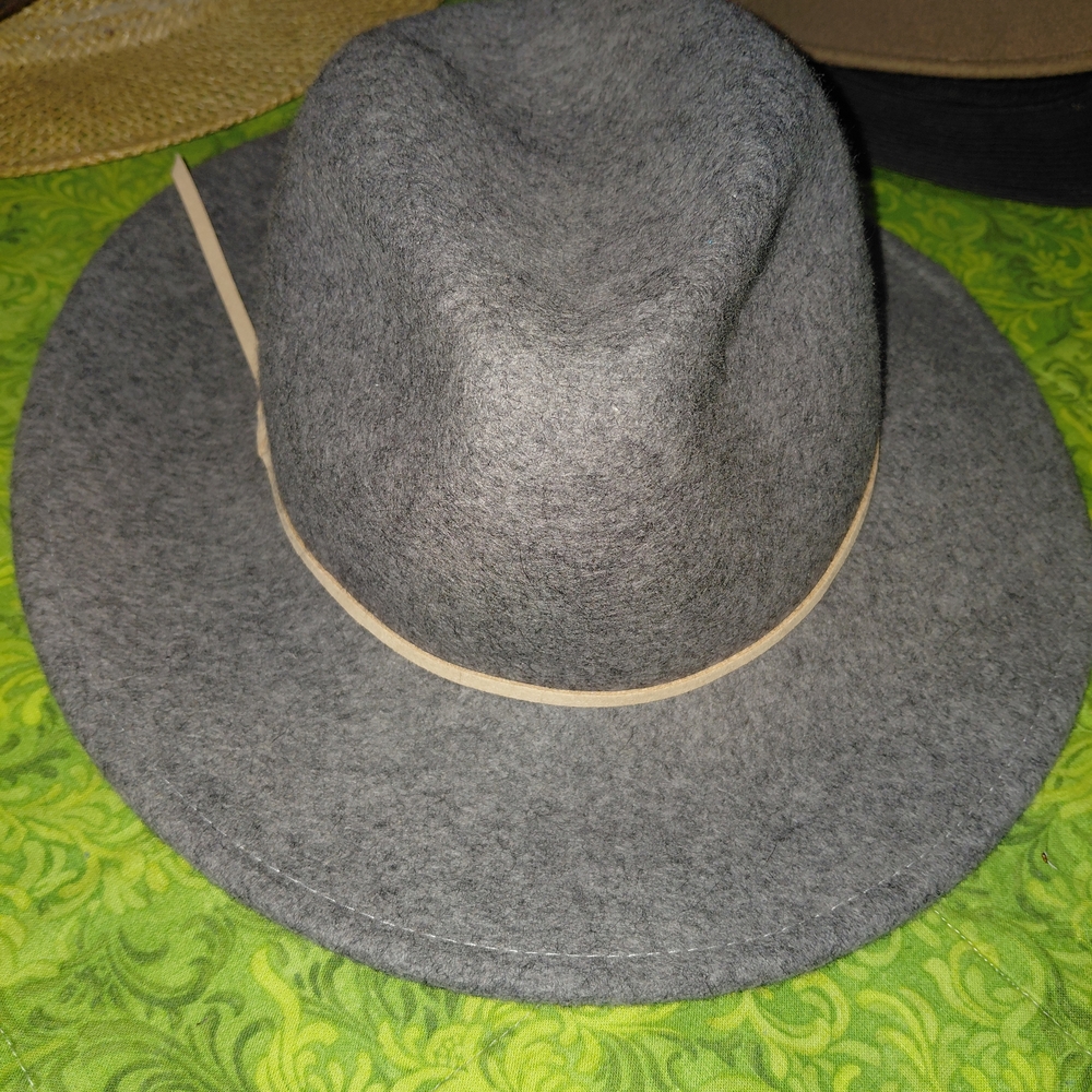 Cost Plus World Market Wool Fedora with Black Band